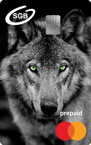 Prepaid1.jpg [41.14 KB]